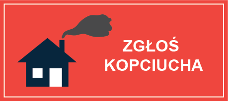 zglos_kopciucha_1.png